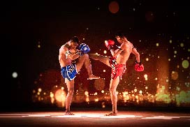 โตโยต้า เค.มอเตอร์ส