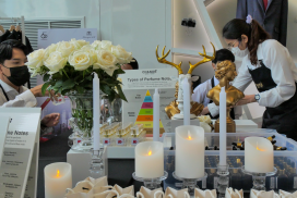 Toyota Drive Your Way