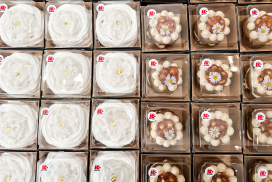 รีโว่ เดอะแบกเดย์